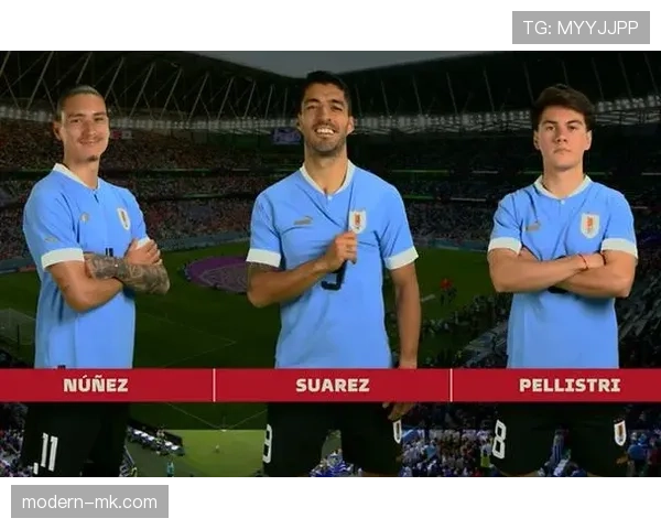 B费生涯个人表现与团队成绩评估